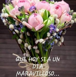 Meet your Posher, Sofia